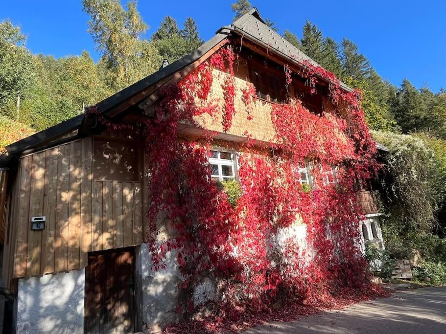 Auszeit Am Kreisbach Apartment Triberg im Schwarzwald Exterior photo